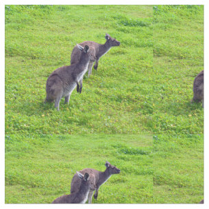 Australische Kängurus auf grüner Weide, Stoff