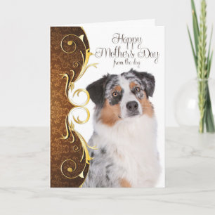 Australische Karte der Schäfer-Mutter Tages