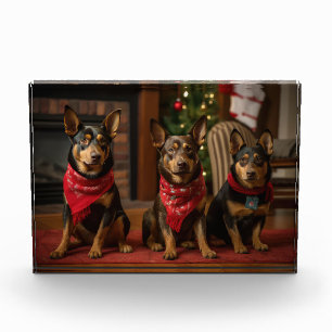 Australische Kelpie am Feuerplatz Weihnachten Fotoblock