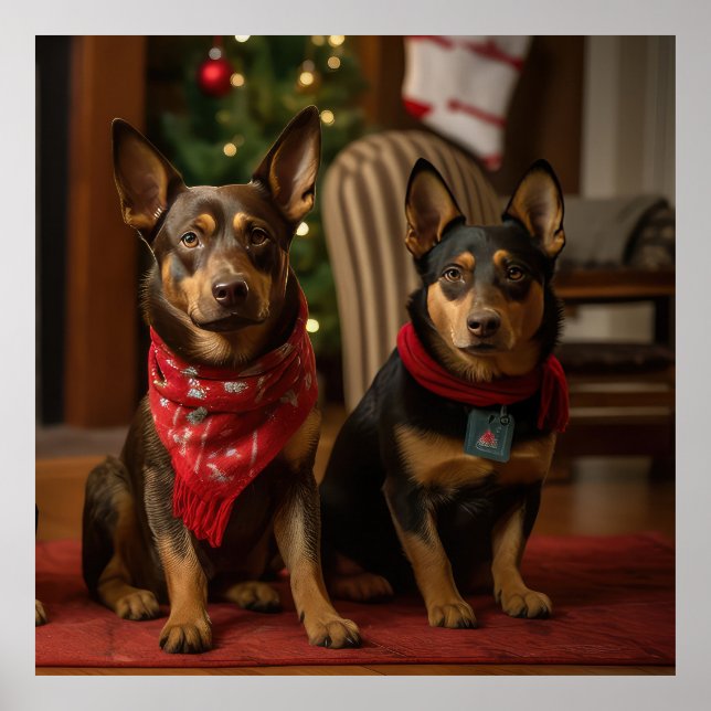 Australische Kelpie am Feuerplatz Weihnachten Poster (Vorne)