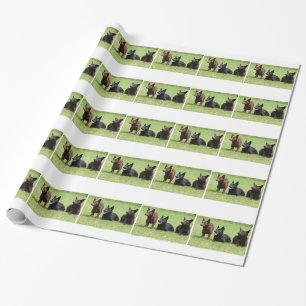 Australische Kelpie-Welpen Geschenkpapier