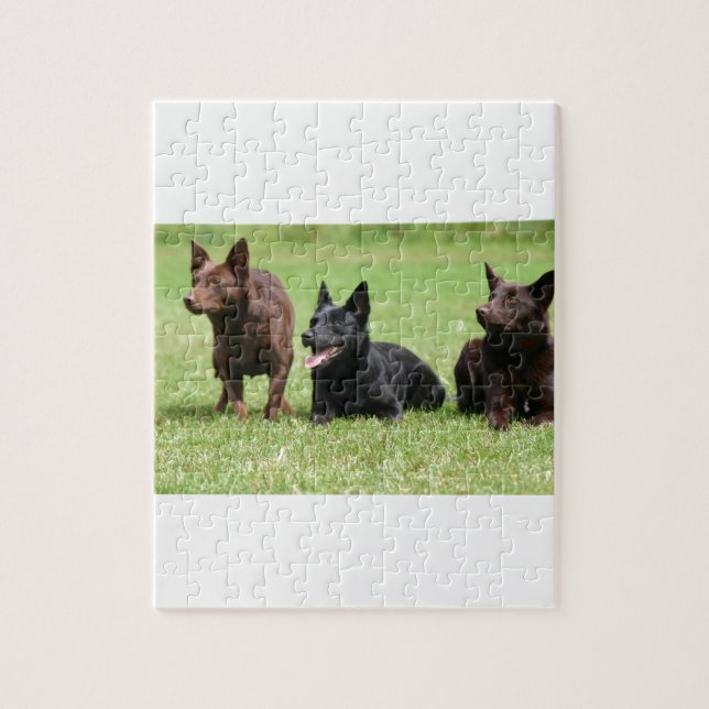 Australische Kelpie-Welpen Puzzle (Vertikal)