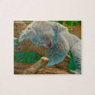 Australische Koalas Puzzle
