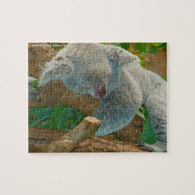 Australische Koalas Puzzle (Horizontal)