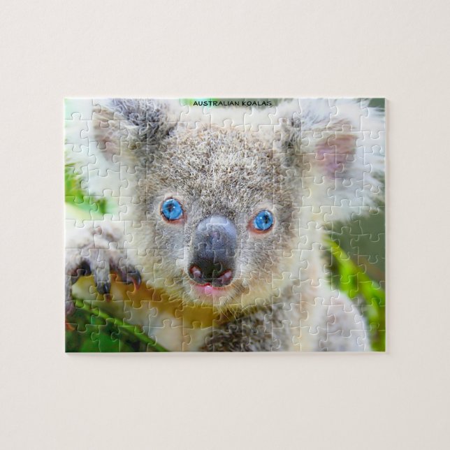 Australische Koalas Puzzle (Horizontal)
