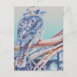 Australische Kookaburra Postkarte