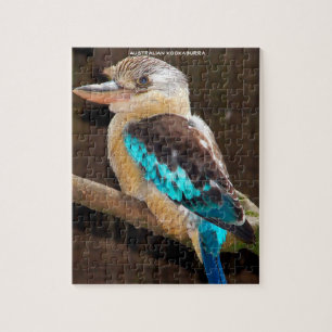 Australische Kookaburra Puzzle