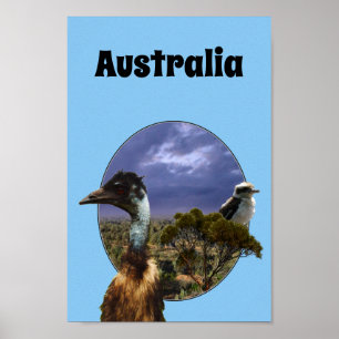 australische Kookaburra und Emu, Poster