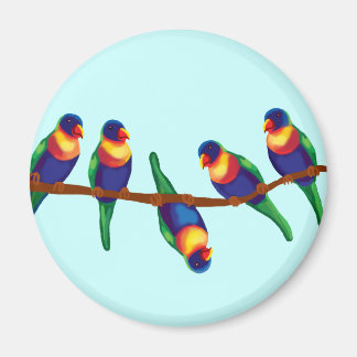 Australische Lorikees Magnet