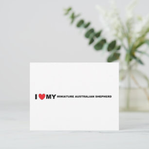 Australische Miniaturschäfer-Liebe Postkarte