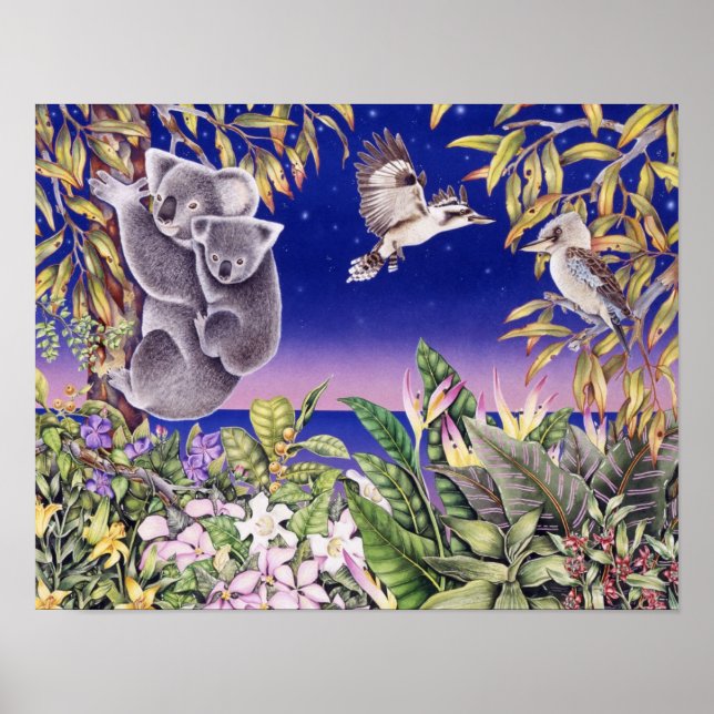 Australische Nacht Poster (Vorne)