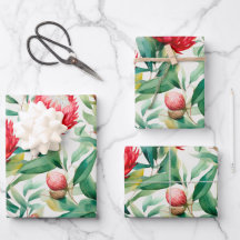 Australische Native Protea Blume