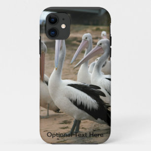 Australische Pelikane auf Phillip Island Case-Mate iPhone Hülle
