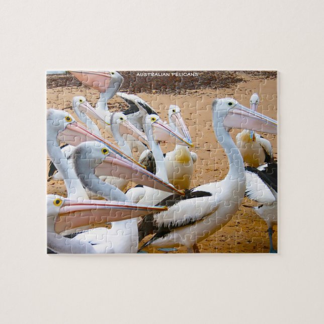 Australische Pelikane Puzzle (Horizontal)