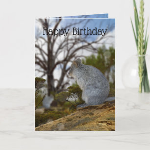 Australische Quokka Alert, Birthday Card, Karte
