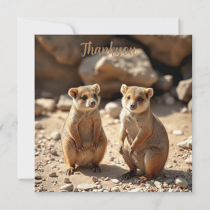 Australische Quokka Twins, Dankeskarte
