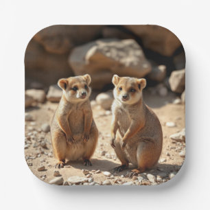 Australische Quokka Twins, Pappteller