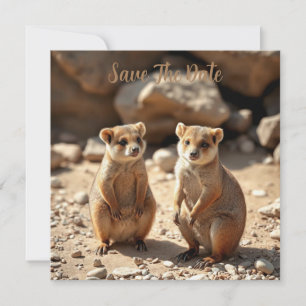 Australische Quokka Twins, Save The Date
