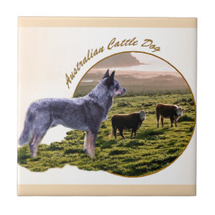Australische Rind Dog Art Fliese