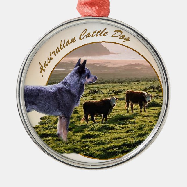 Australische Rind Dog Art Silbernes Ornament (Vorne)