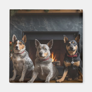 Australische Rinder am Kamin Weihnachten Magnet