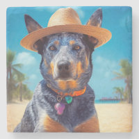 Australische Rinder am Strand, Hunde liebt Sommerg