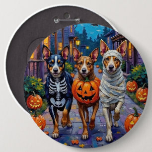 Australische Rinder an Halloween beim Süßigkeitenb Button