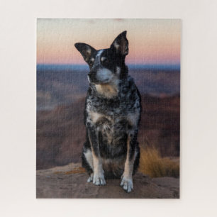 Australische Rinder Hund Heeler - Sunset - Puzzle