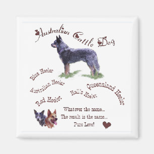 Australische Rinder-Hunde-Geschenke Magnet