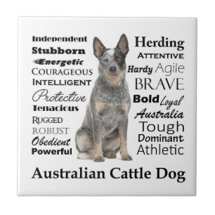 Australische Rinder Hunde Keramik Tile Fliese