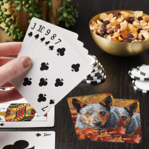Australische Rinder im Herbst inspirieren fallende Spielkarten