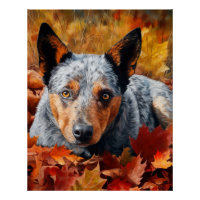 Australische Rinder im Herbst Leaves Fall Inspirie