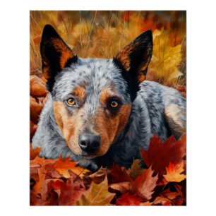 Australische Rinder im Herbst Leaves Fall Inspirie Poster