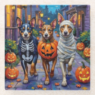 Australische Rinder-Trick-or-Treating zu Halloween Glasuntersetzer