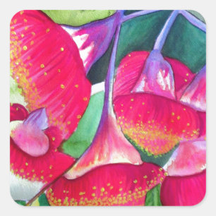 Australische rote blühende gumnuts Aquarellkunst Quadratischer Aufkleber