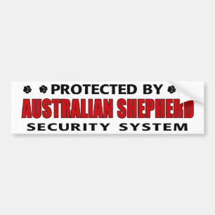 Australische Schäfer-Sicherheit Autoaufkleber