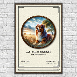 Australische Schäferhund-Zoologie-Serie Poster