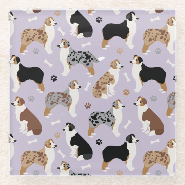 Australische Schäferknochen und -paws Glasuntersetzer (Vorderseite)