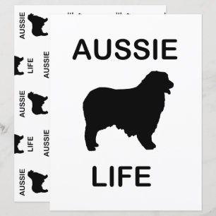 australische Schafzüchterlebensdauer