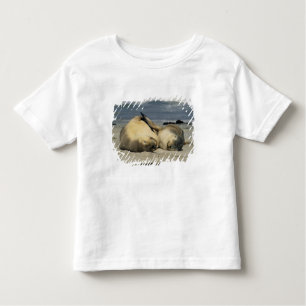 Australische Seelöwen, Neophoca cinerea), Kleinkind T-shirt
