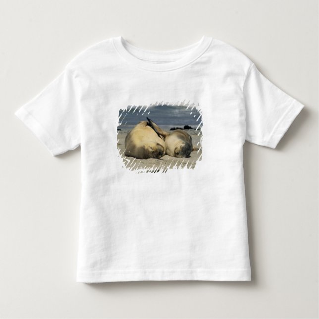 Australische Seelöwen, Neophoca cinerea), Kleinkind T-shirt (Vorderseite)
