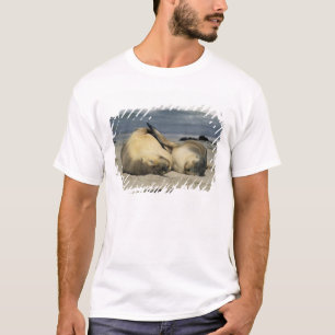 Australische Seelöwen, Neophoca cinerea), T-Shirt
