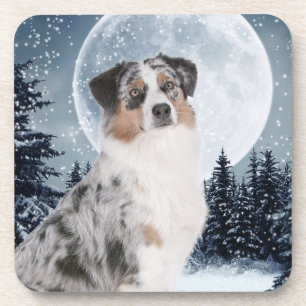 Australische Shepherd-Untersetzer Untersetzer