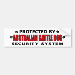 Australische Sicherheit von Rinderhunden Autoaufkleber