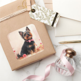 Australische Terrier mit Rose - Valentinstag Quadratischer Aufkleber