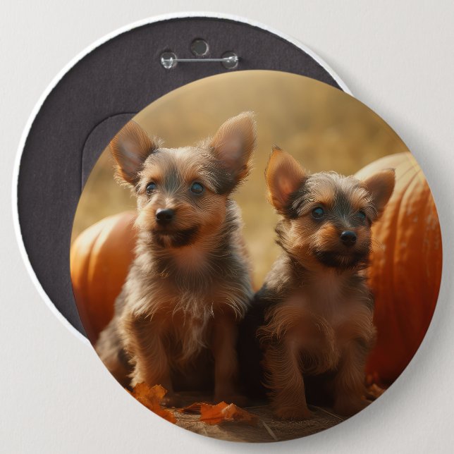 Australische Terrier Welpe Autumn Delight Pumpkin Button (Vorne & Hinten)
