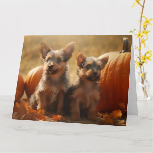 Australische Terrier Welpe Autumn Delight Pumpkin Karte