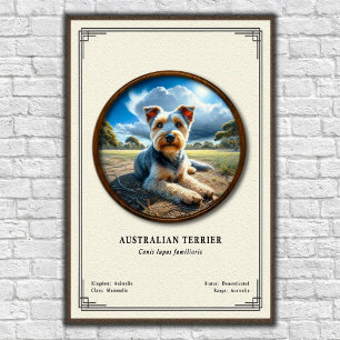 Australische Terrier Zoologie-Serie Poster