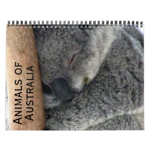 australische Tiere 2026 Kalender