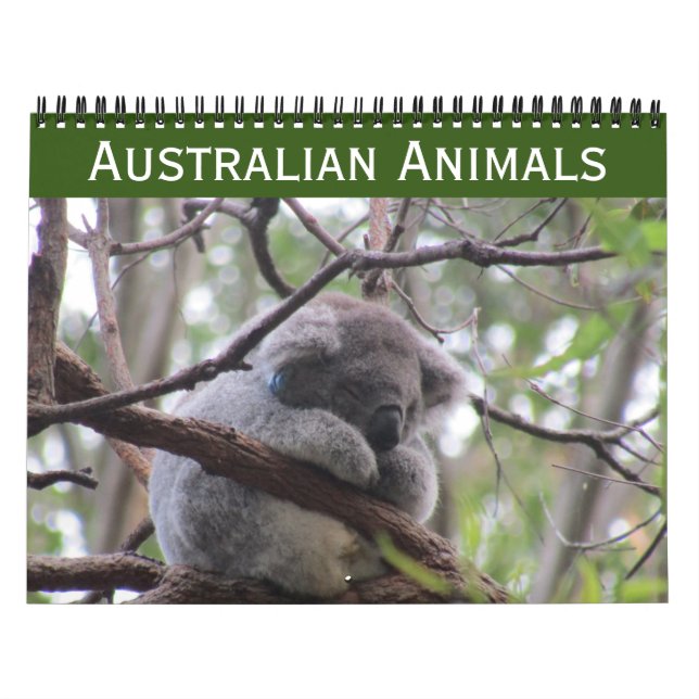 Australische Tiere - Kalender 2025 (Titelbild)